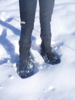 Snowshoe 2