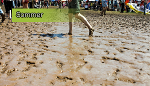 Sommer