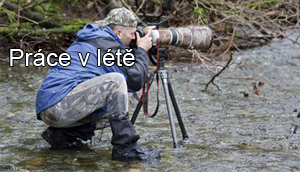 Práce v létě 